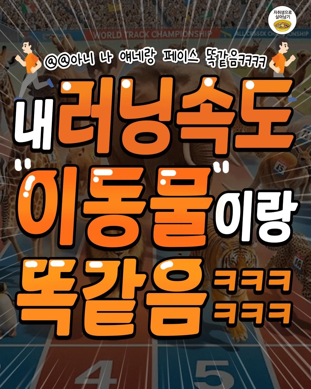 one_home_life 게시물 이미지: 🏃🏻‼️나 이 동물들이랑 러닝 페이스 똑같음ㅋㅋㅋㅋ‼️🏃🏻
내 페이스에 해당하는...