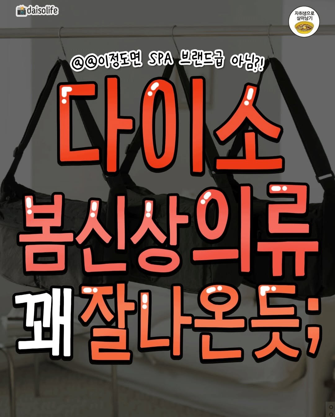 Photo by 자취생으로 살아남기 on February 23, 2026. May be an image of ‎text that says '‎daisolife 자휘생으로 실이남기 במר @@이정도면 SPA 브랜드급 아님?! 다이소 봄신상의류 꽤 꽤잘나온듯‎'‎.