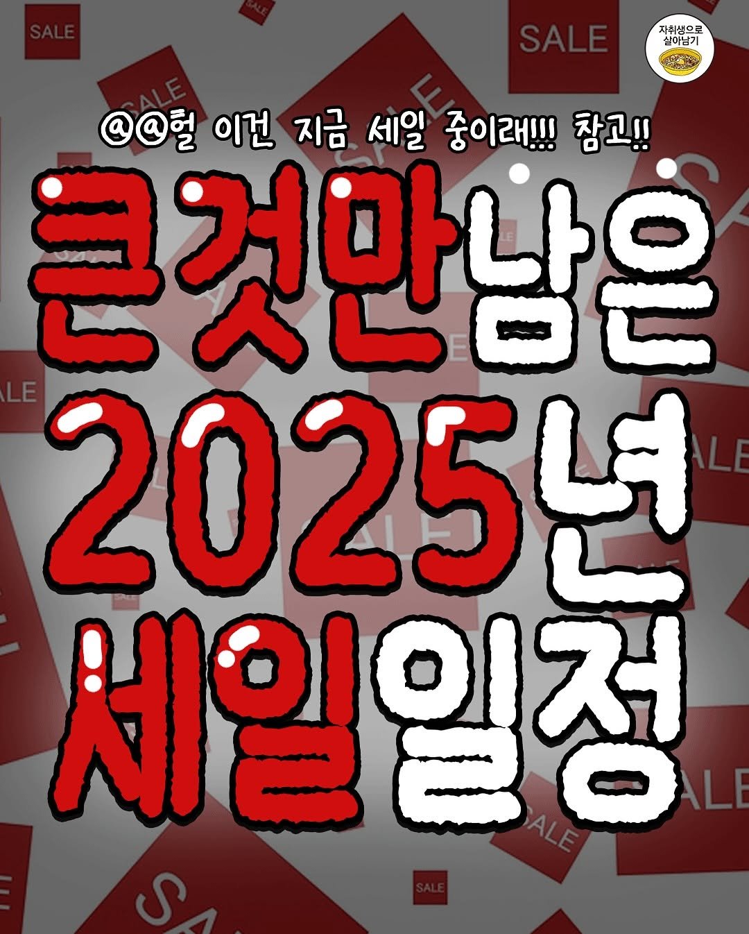 Photo by 자취생으로 살아남기 on September 24, 2025. May be an image of text that says '자취생으로 실이남기 @@헐 이건 지금 세일 중이래!!! 참고!! 근것만남은 2025년 세일일정'.