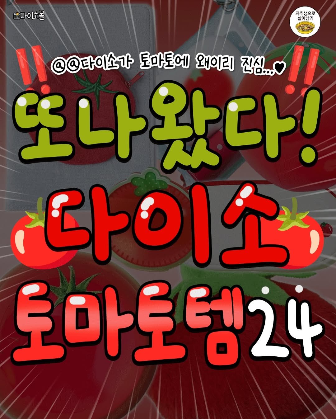 one_home_life 게시물 이미지: 🍅‼️또 나왔다는 다이소 토마토템 무려 24개;;‼️🍅
다이소가 왜이렇게 토마토에...