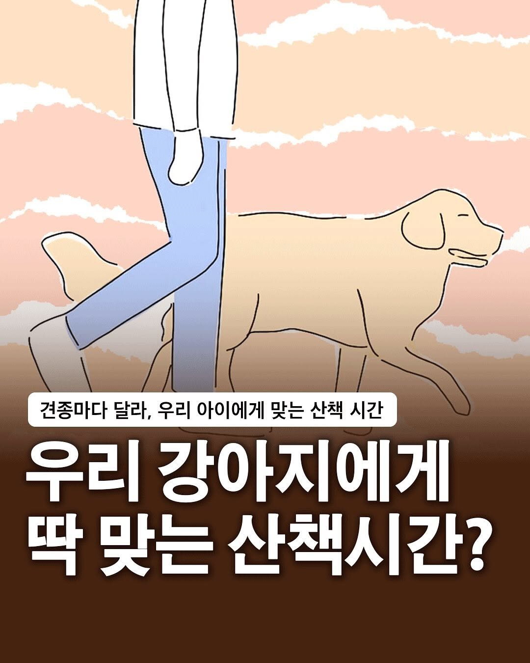 Photo by 자취생으로 살아남기 on April 29, 2025. May be a doodle of animal, poster and text that says '견종마다 달라, 우리 아이에게 에게 맞는 산책 시간 우리 리강아지에게 강아지 딱 맞는 산책시간?'.