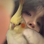 ch_.xinog 프로필 사진
