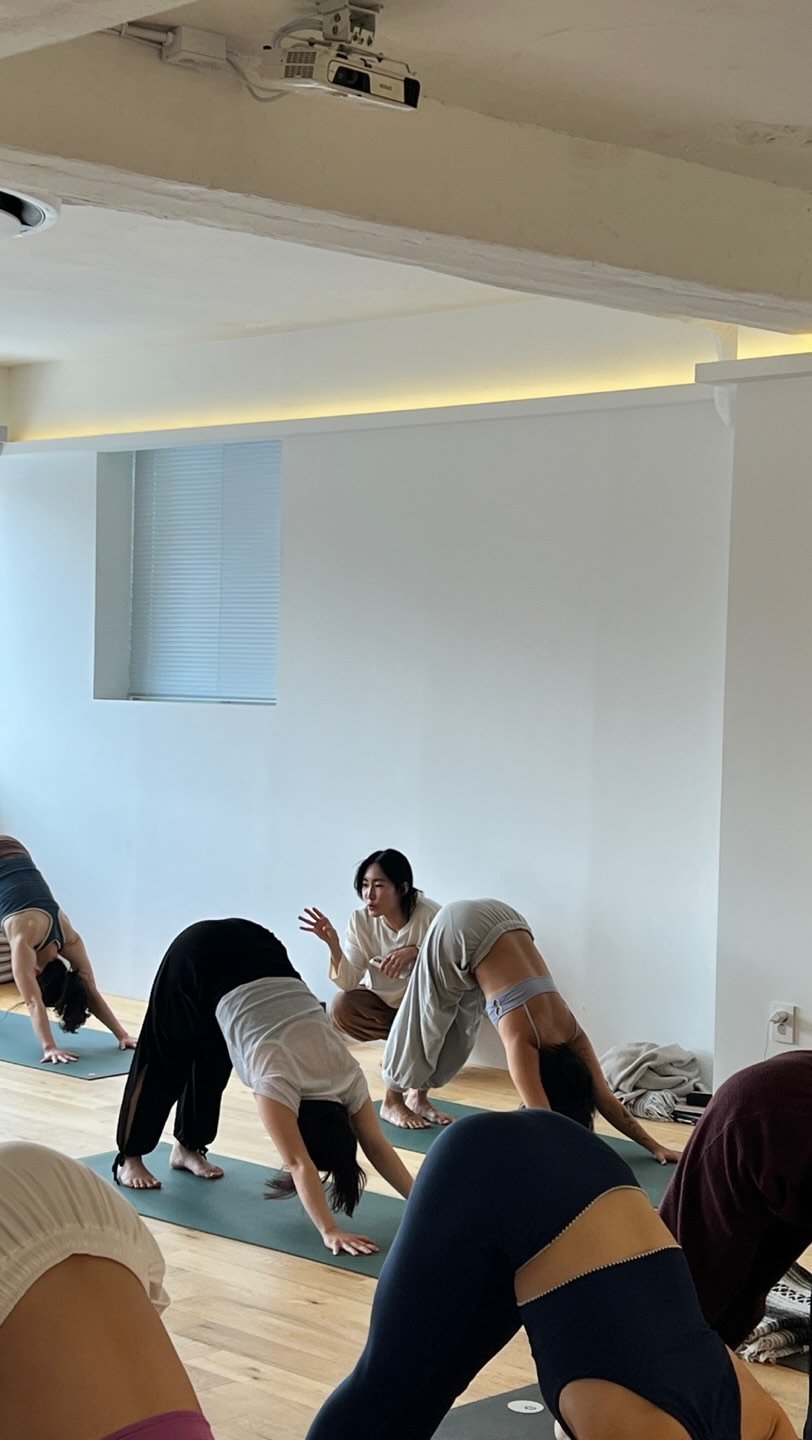 onemoreyoga 게시물 이미지: 💫 지난 주 일요일
차크라 빈야사 워크샵이 진행되었어요.

함께 호흡하고,...