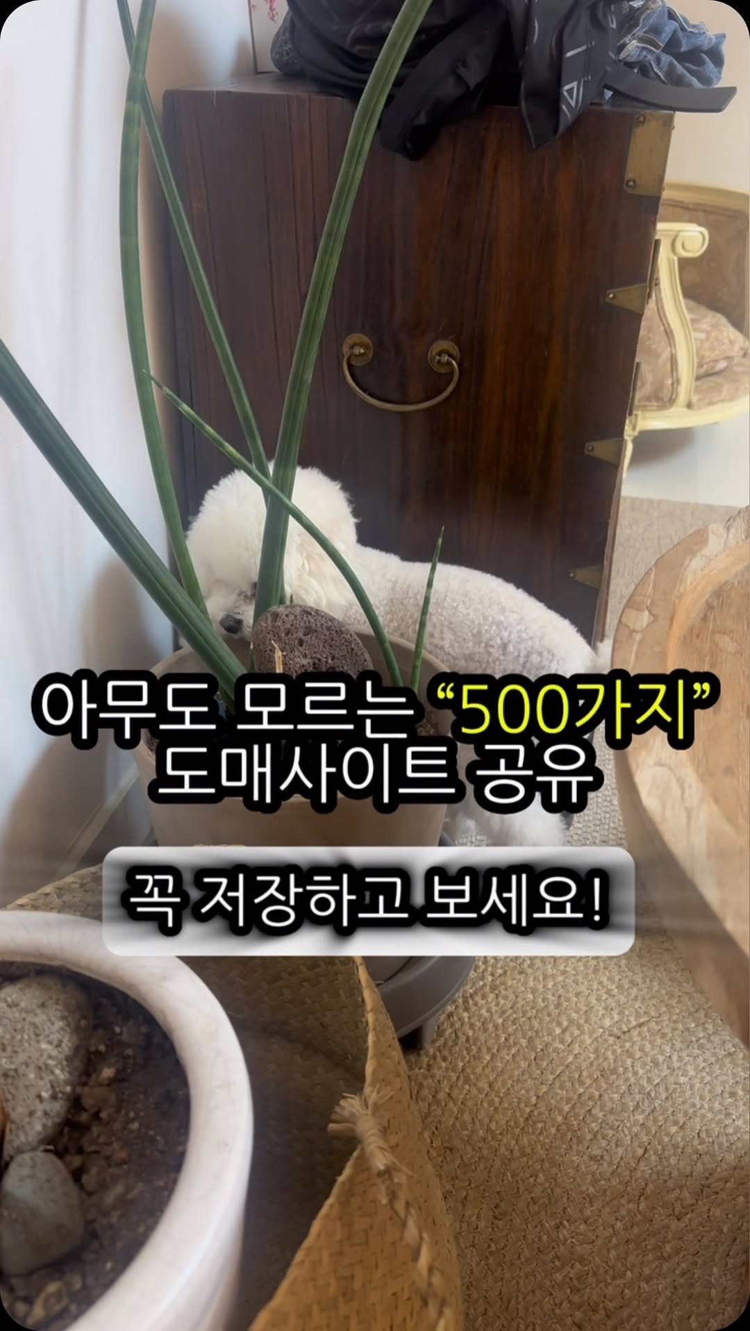 oneshot.allkill 게시물 이미지: 판매할 상품을 찾을때 주로 쓰는 사이트가 ”도매꾹“이죠??

하지만 거의 대부분의...