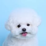 ming9__mini 프로필 사진