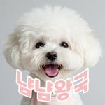 yumyum_kingdom 프로필 사진