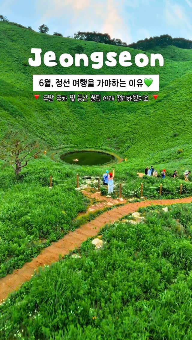 onethefull_day 게시물 이미지: (당장 저장) 6월 정선으로 여행가야 하는 이유💚 아무도 안 알려준 주말 민둥산...