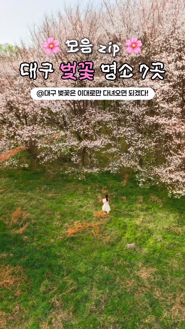 onethefull_day 게시물 이미지: (당장 공유) 직접 다녀온 대구 벚꽃 명소 7곳 총정리🌸 저장해뒀다가 대구여행가실때...