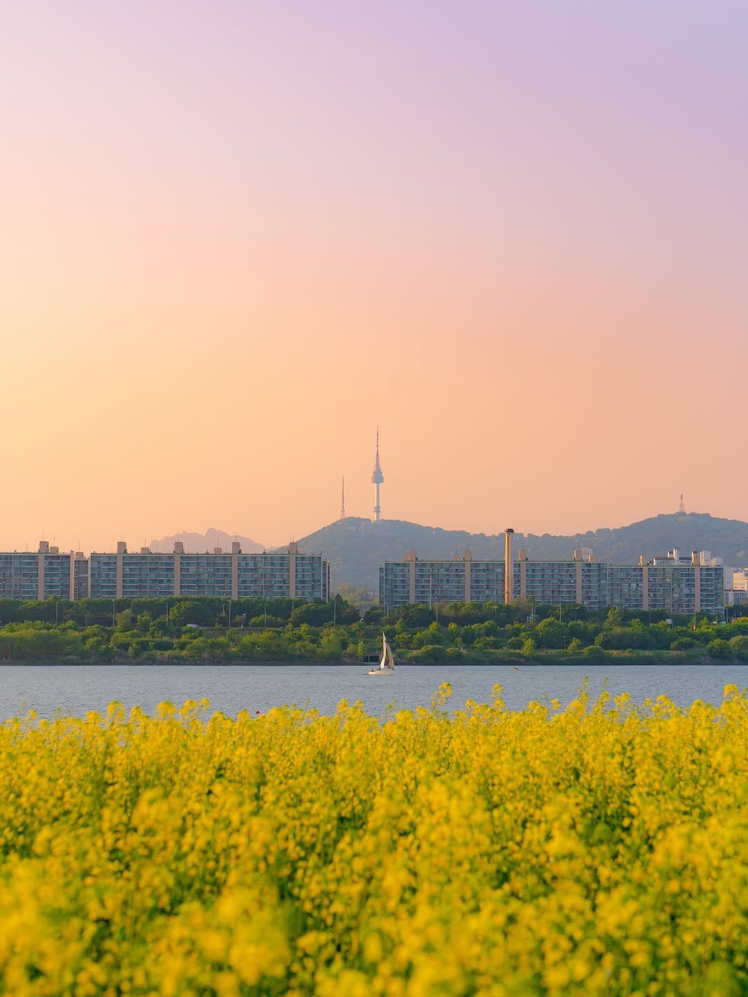 onethefull_day 게시물 이미지: (당장 공유) 비 그친 이번 주 서울에서 꼭 가봐야 할 낭만 가득한 한강💛...