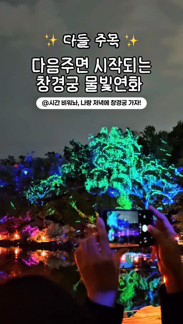 onethefull_day 게시물 이미지: (일단 공유) 2026 창경궁 미디어아트 물빛연화, 다음주부터 시작💕 메인 명당부터...