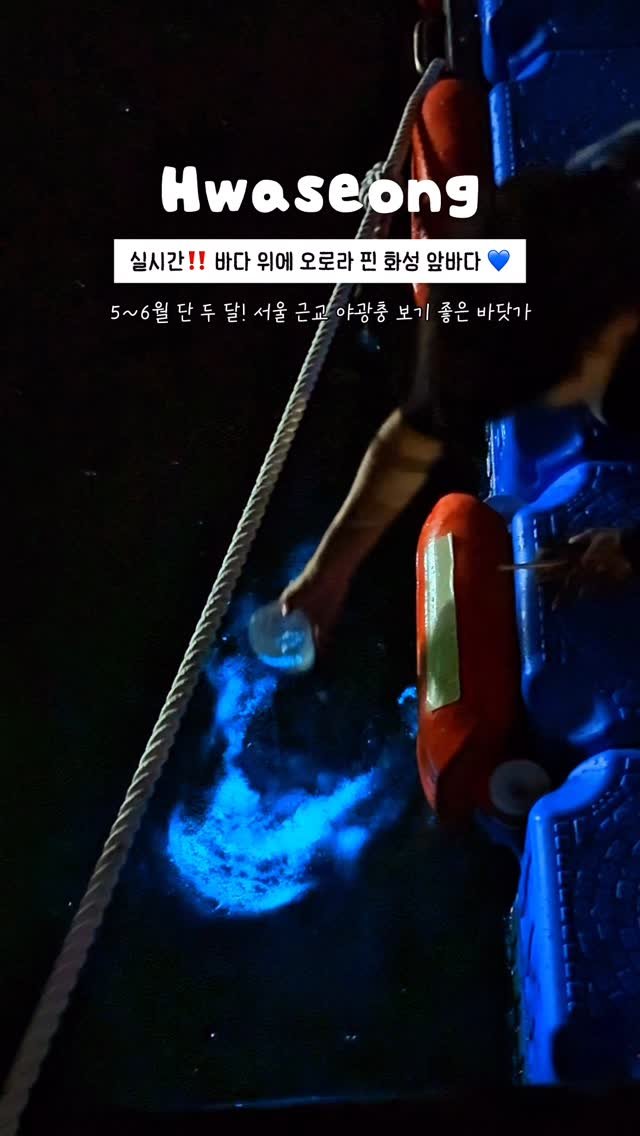 onethefull_day 게시물 이미지: (당장 저장) 실시간 바다 위 오로라, 야광충 보러 가기 좋은 서울 근교 궁평항💙...