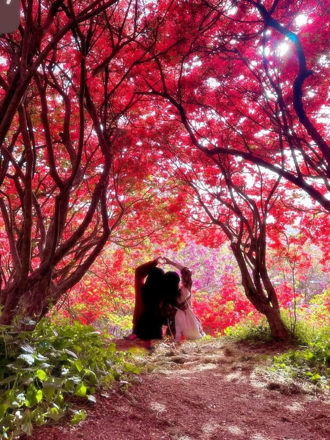 Photo by 원더풀데이 | 네 여행을 책임져도 될까? on April 23, 2026. May be an image of text.