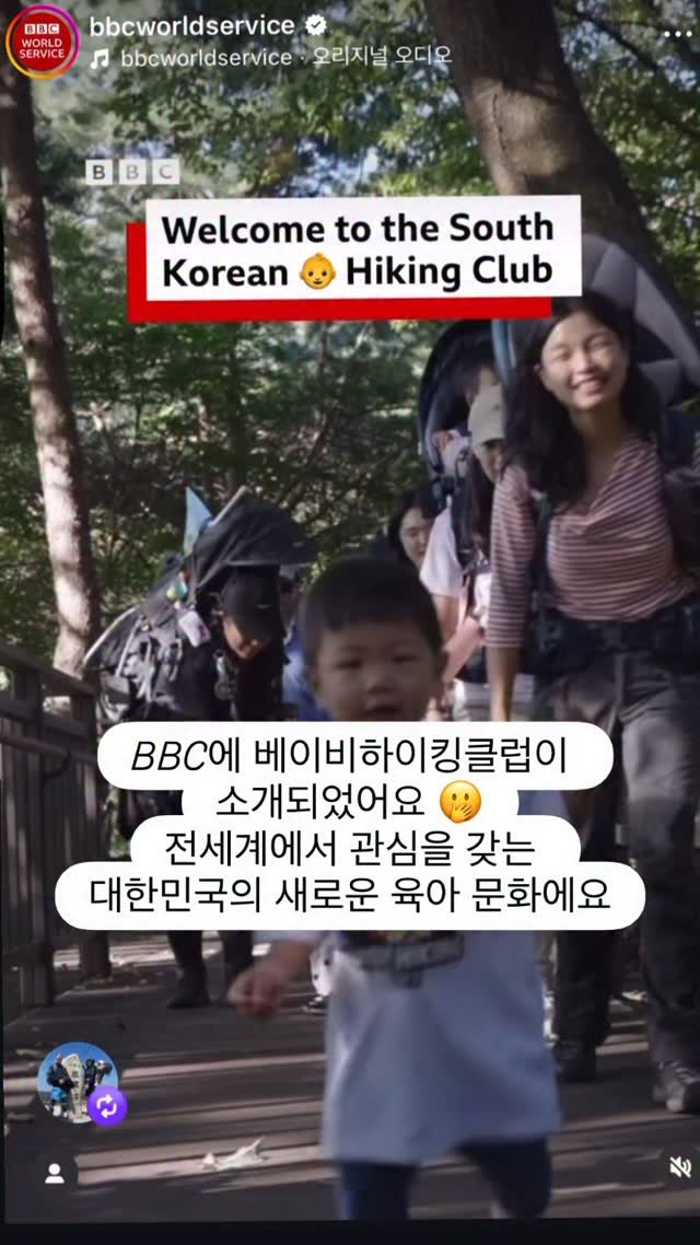 ongmuseum 게시물 이미지: BBC에 베이비하이킹클럽이 소개되었어요 🫢❤️ >> 풀영상은...