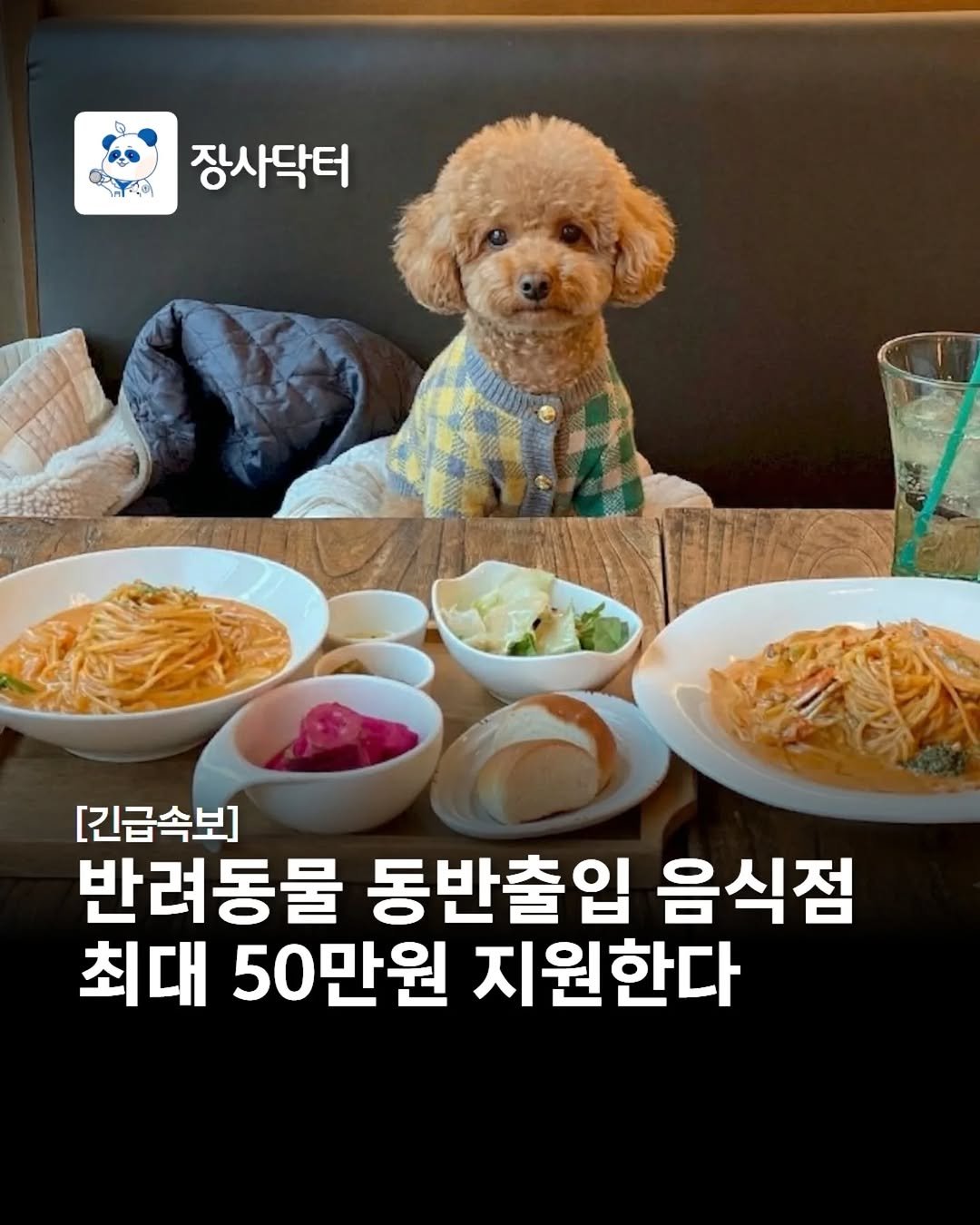 Photo by 네이버 플레이스 마케팅 I 마코장 장원준 on April 07, 2026. May be an image of ‎animal and ‎text that says '‎م 장사닥터 [긴급속보] 반려동물 동반출입 음식점 최대 50만원 지원한다‎'‎‎.