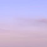 moon.___.dal 프로필 사진