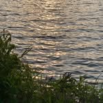 sawolfilm 프로필 사진