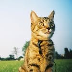 green_oooee 프로필 사진