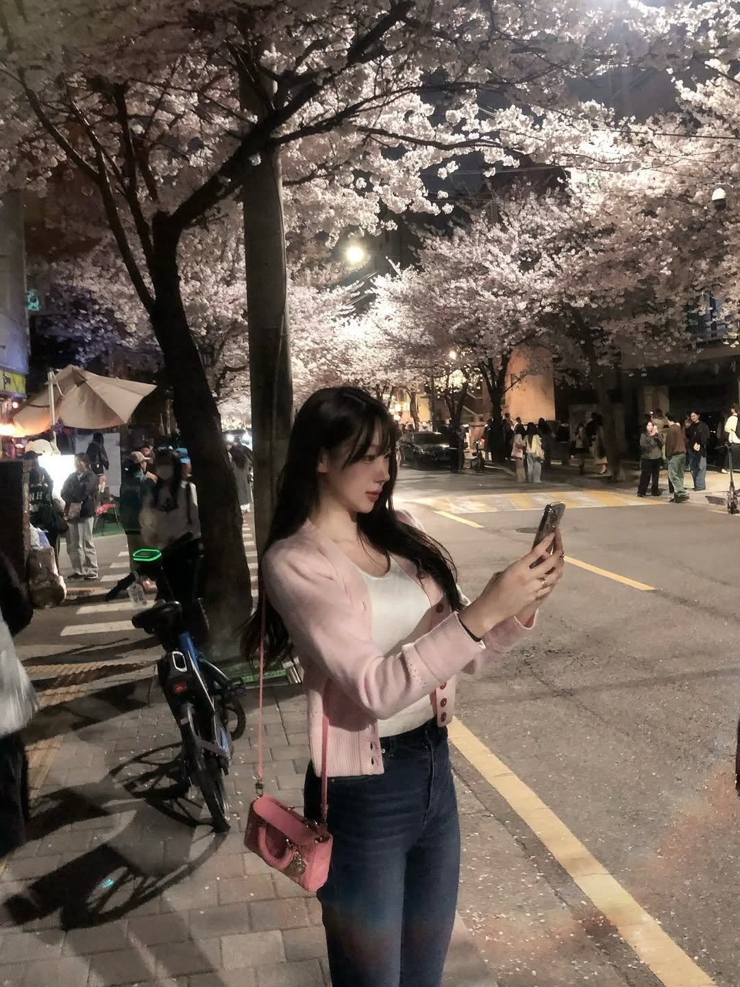 Photo by 장진원 JINWON on April 04, 2026. May be an image of stone-fruit tree and text.