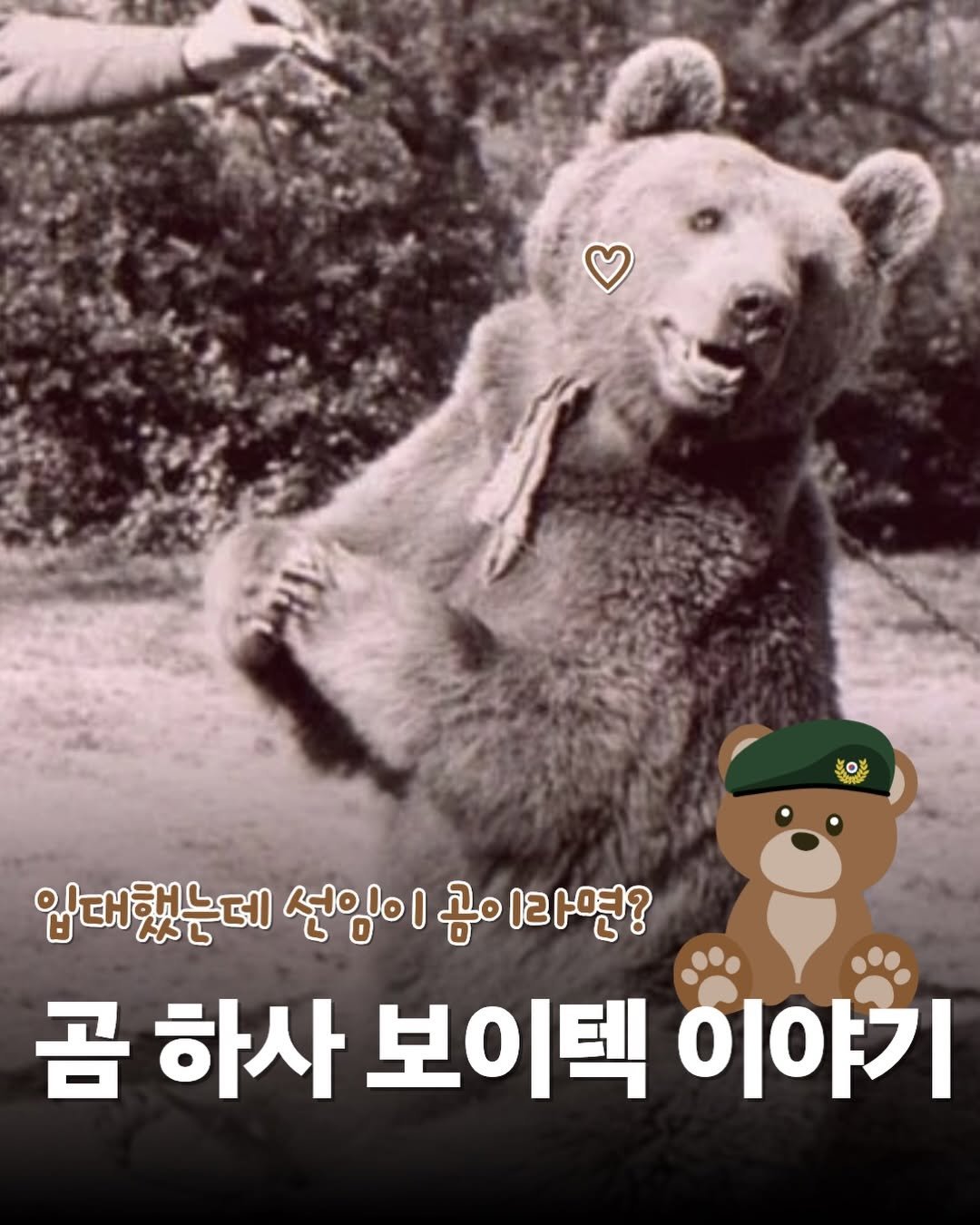 Photo shared by 믹스커피 on April 23, 2026 tagging @onobooks. May be an image of bear and text that says '0 입대했는데 선임이 곰이 이라면? 곰 하사 보이텍 이야기'.