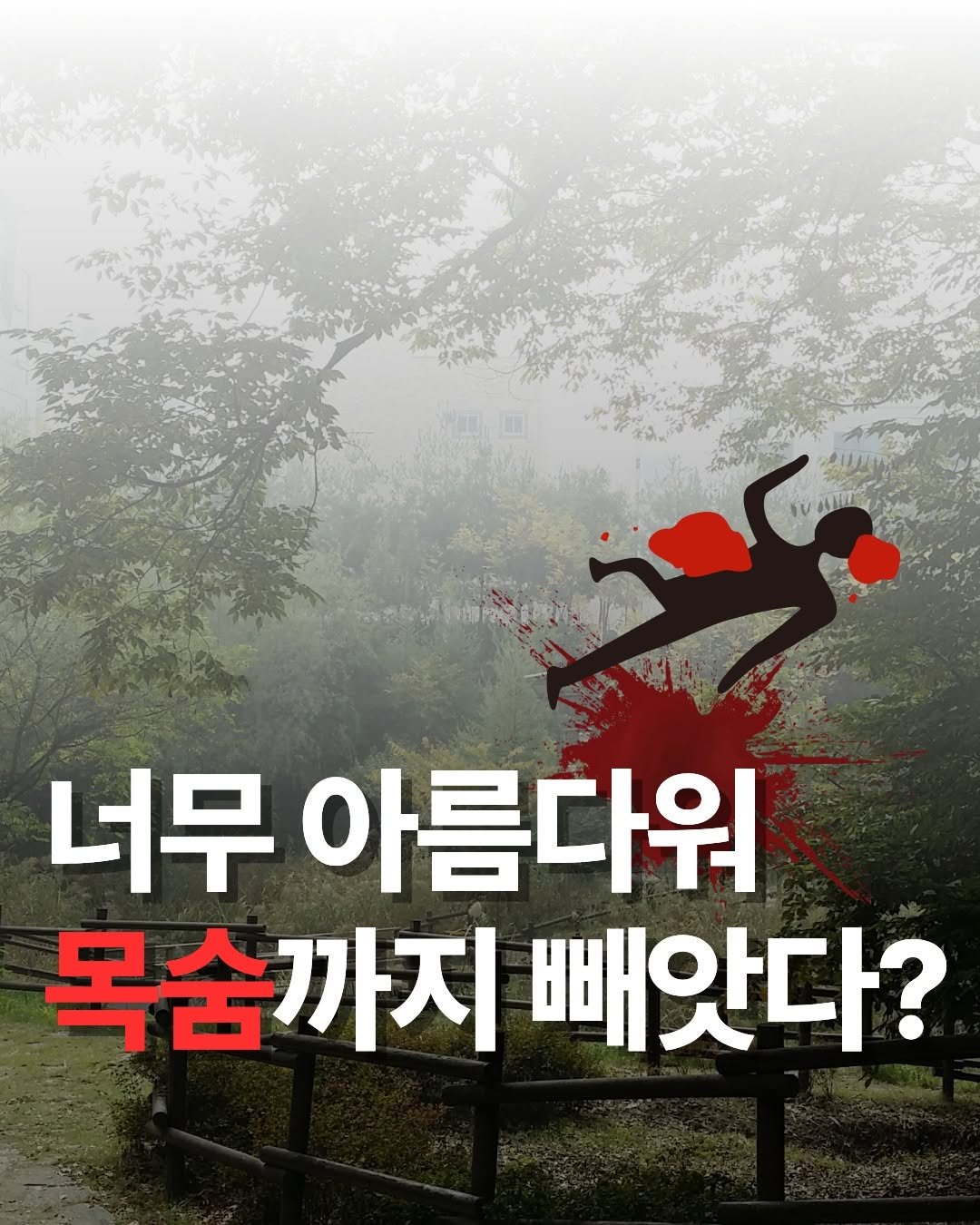 Photo by 원앤원북스 on October 29, 2025. May be an image of text that says '너무 아름다워 목숨까지 빼앗다?'.