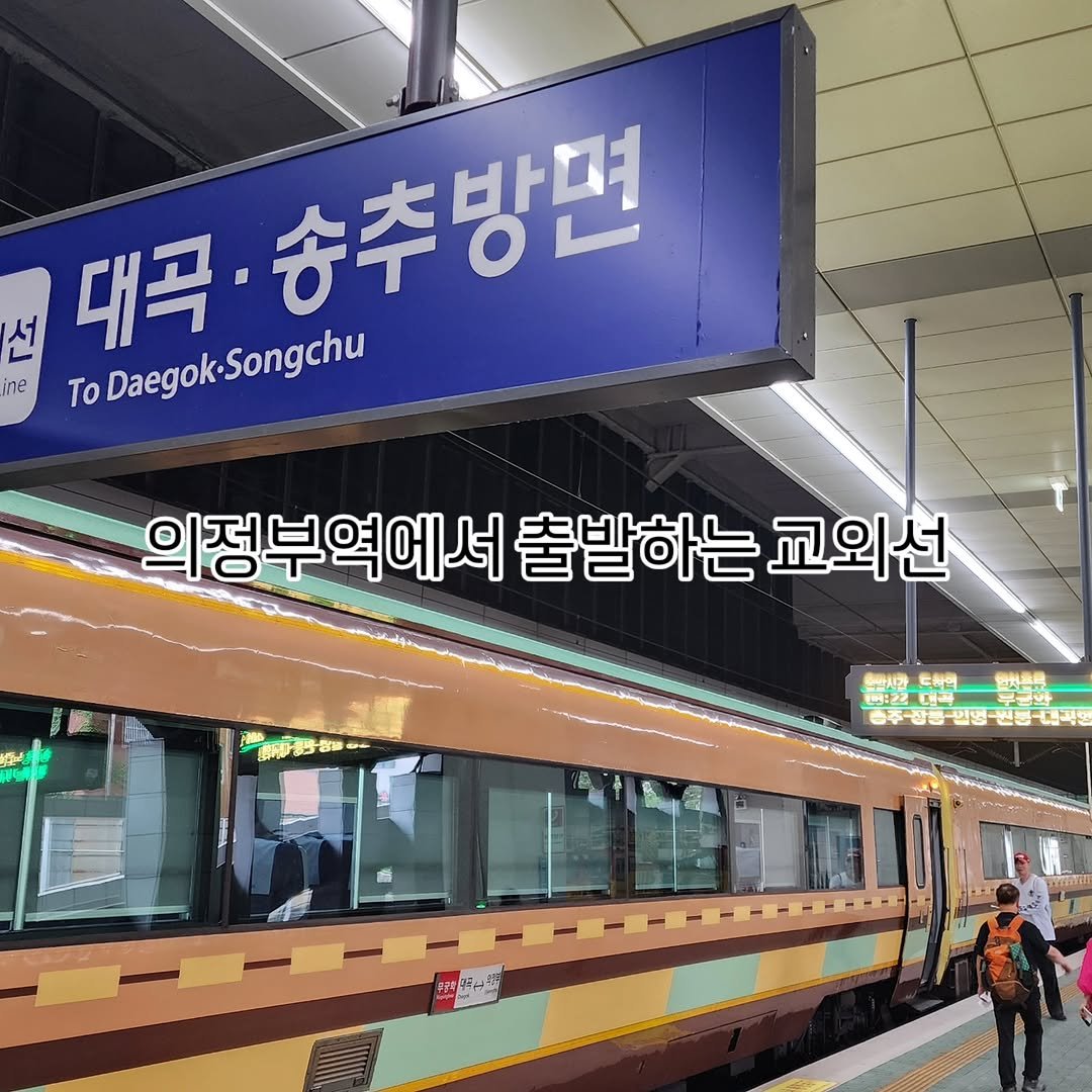 onseller114 게시물 이미지: 오늘은 의정부역에서 교외선 무궁화호를 타고 송추역으로 이동했습니다.

오전 8시...