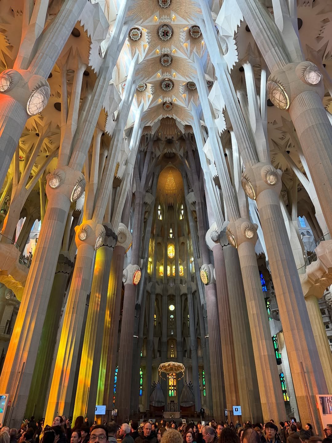 Photo by Jun on February 02, 2026. May be an image of La Sagrada Familia and text.