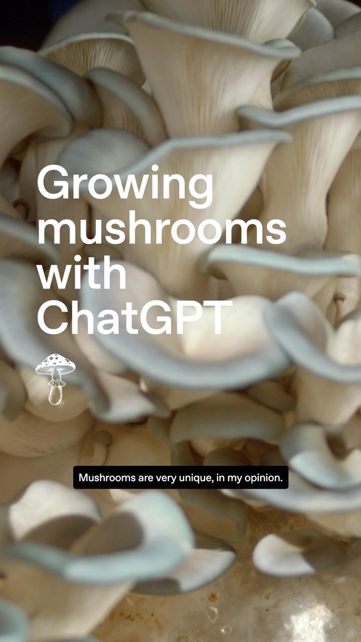 openai 게시물 이미지: A mushroom grow kit sparked Hunter’s curiosity...