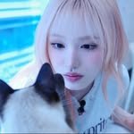 ive_cute_v 프로필 사진