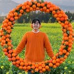 onethefull_day 프로필 사진