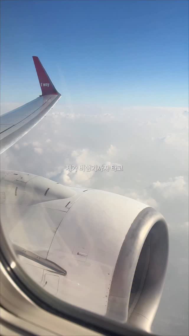 opetion_h 게시물 이미지: 부산 불꽃축제가시는 분들은 꼭 참고하세요 _광고

🎈더 많은 이색 장소를 알고...