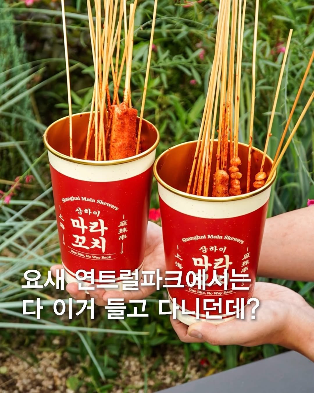 Photo shared by 옵션에이치 | 카페 맛집 숙소 전시 🍀 on September 24, 2025 tagging @shanghaimala_official. May be an image of chicken, breadstick, skewer and text that says '麻 菜 串 ร้ล gunghalMaiaSkower Mala 상하이 Skewers 마라 마 라 꼬치 Shanghai Mala StanghaiMainSkewen Skewery CN BHB No Way Back 상하이 Δ 요새 연트럴파크에서는 , One te, 다 이거 들고 다니던데? No Way'.