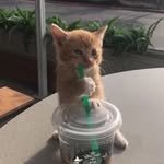 deon_zip 프로필 사진