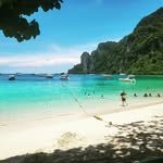 all_food_u 프로필 사진