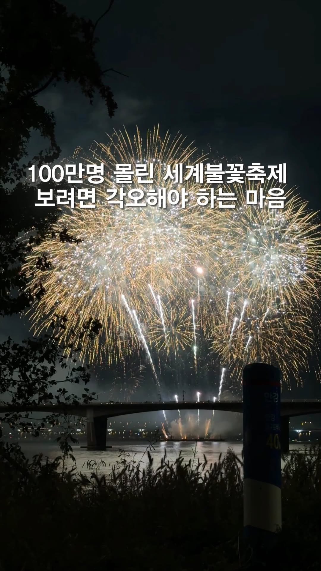 opetion_h 게시물 이미지: 관계자분들 고생많으셨습니다..🙏

🎈축제 때마다 숨겨진 현실이 궁금하다면
➡️...