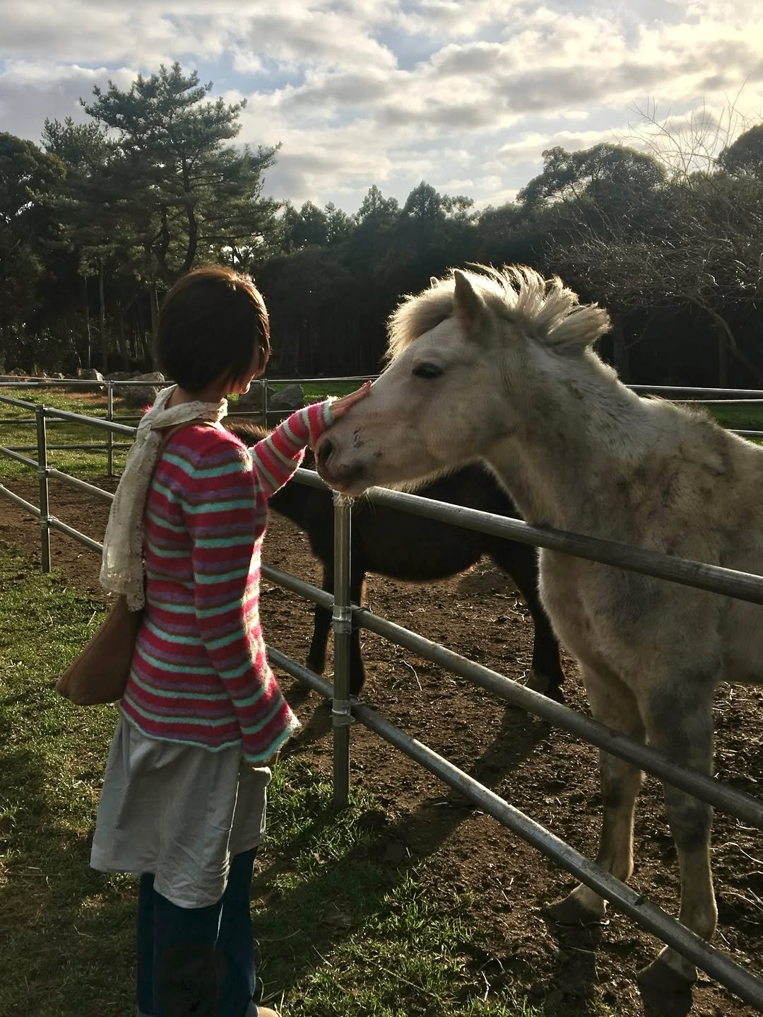 Photo shared by 소리소리 옷장 | 키작녀 캐주얼룩 • 빈티지룩 on February 07, 2026 tagging @onska.on, and @heretic.kr. May be an image of horse, pony, foal, donkey and text.
