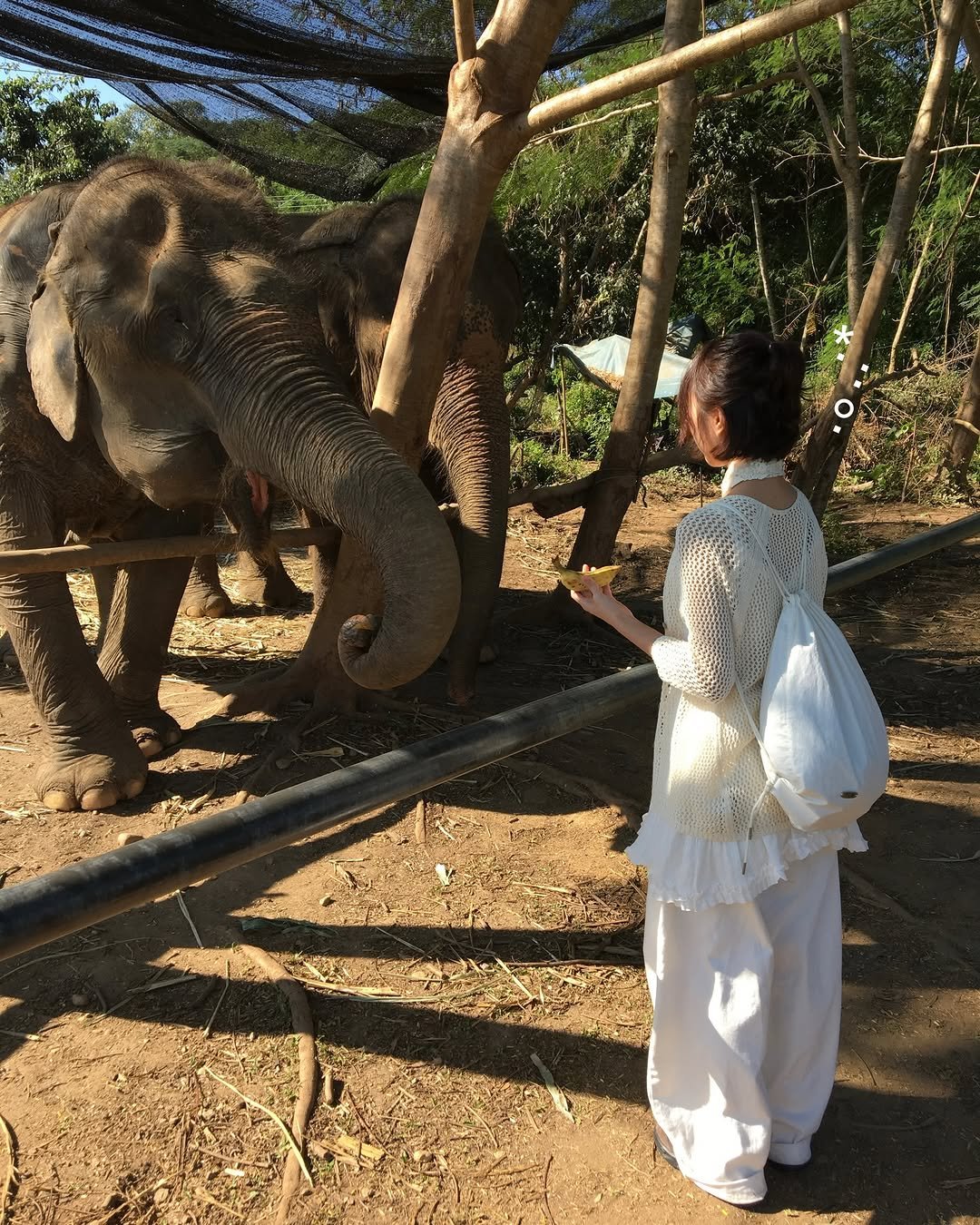 Photo by 소리소리 옷장 | 키작녀 캐주얼룩 • 빈티지룩 on January 15, 2026. May be an image of elephant and text.