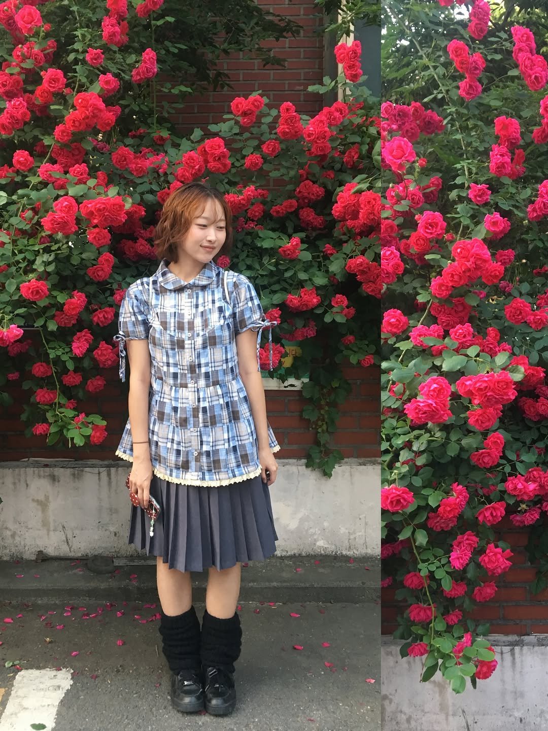 optatum_somnium 게시물 이미지: 와도와도 좋은 망원동 한바퀴🌹

•장미는 요 주소 치고 가시면 반대편에...