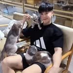 boycaradoc 프로필 사진