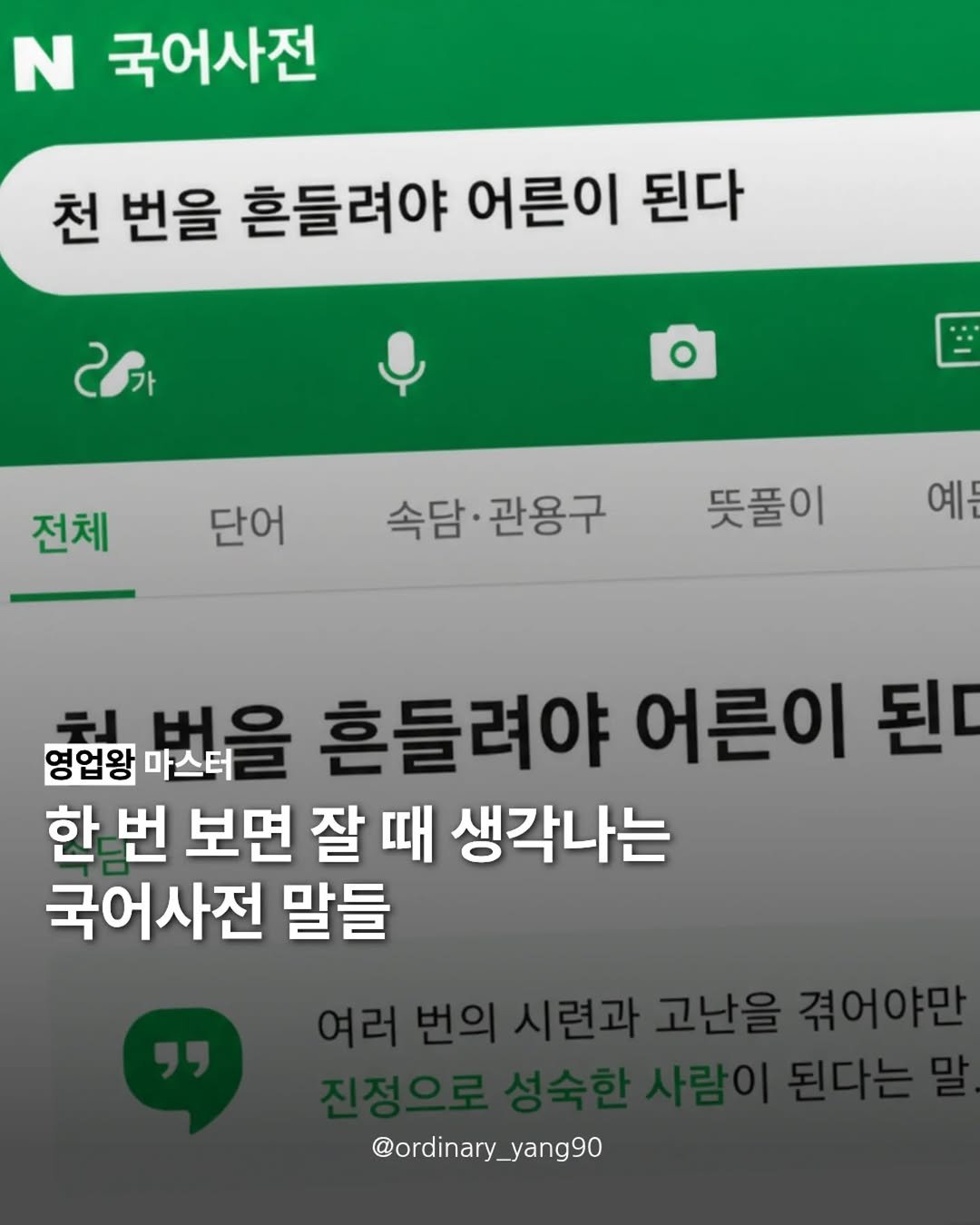 Photo by 마스터 l 양유준 on April 28, 2026. May be an image of text that says 'N 국어사전 천 번을 흔들려야 어른이 된다 201 전체 단어 속담· 속담·관용구뜻폼이 속담·관용구 관용구 뜻풀이 예 シ 영업왕 마스터 번을 흔들려야 어른이 된다 한 번 보면 잘 때 생각나는 국어사전 말들 @ordinary_yang90 yang90'.