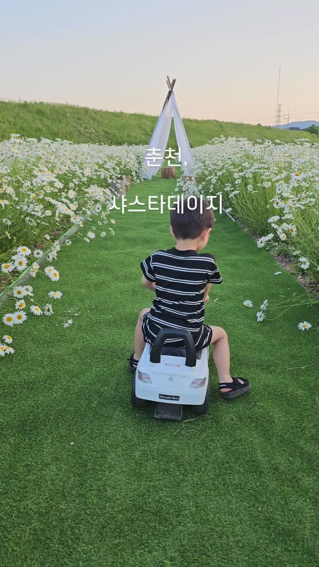 organic_cafe_ 게시물 이미지: 춘천 꽃밭
야외 카페
유기농카페

샤스타데이지...