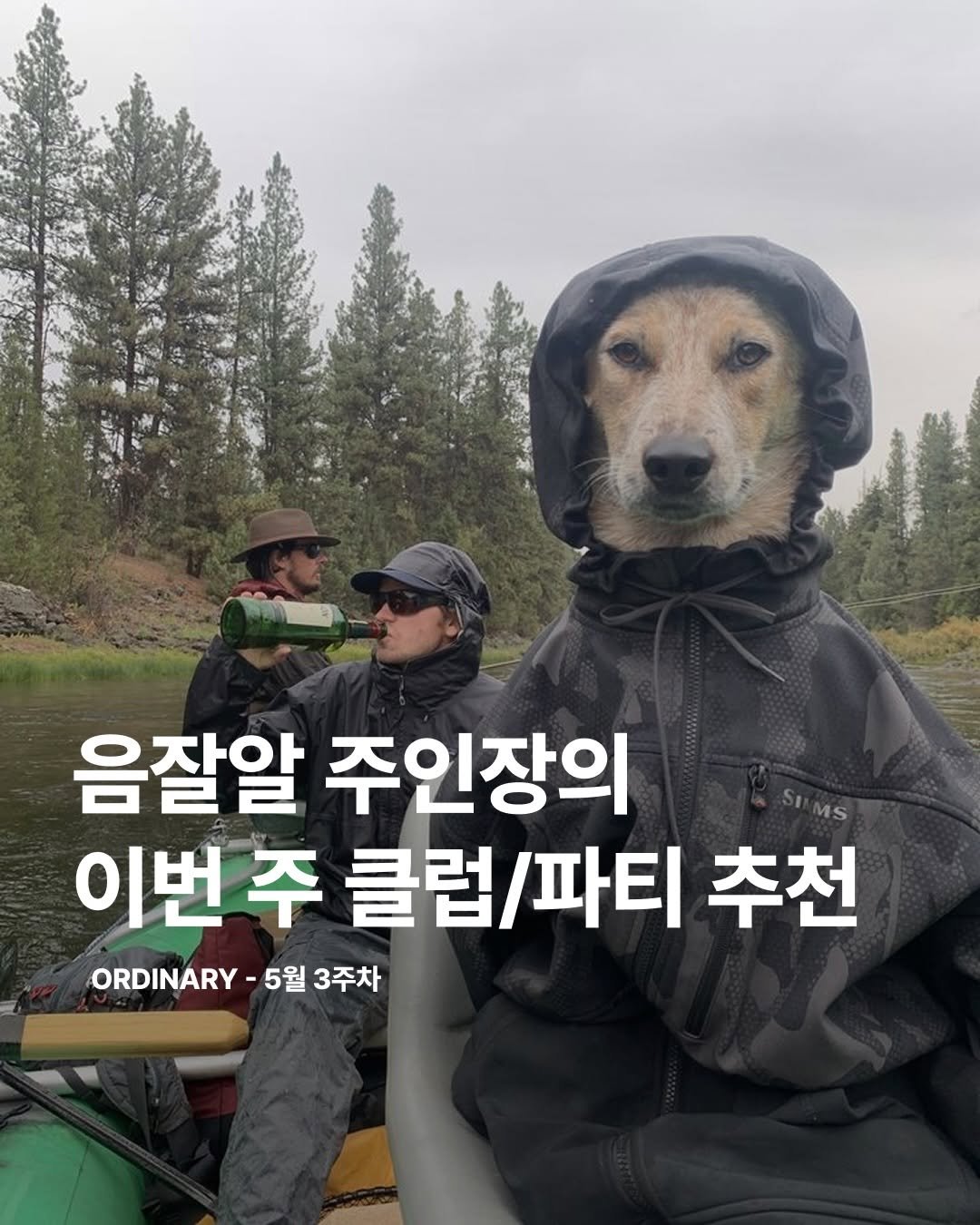 orny.place 게시물 이미지: 지난주 Ordinary Place는 클럽과 파티가 꼭 어두운 실내에만 있어야...