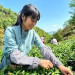 chen_dongmei_202 프로필 사진