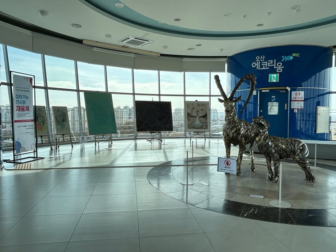 Photo by 오산시립미술관 on November 17, 2025.