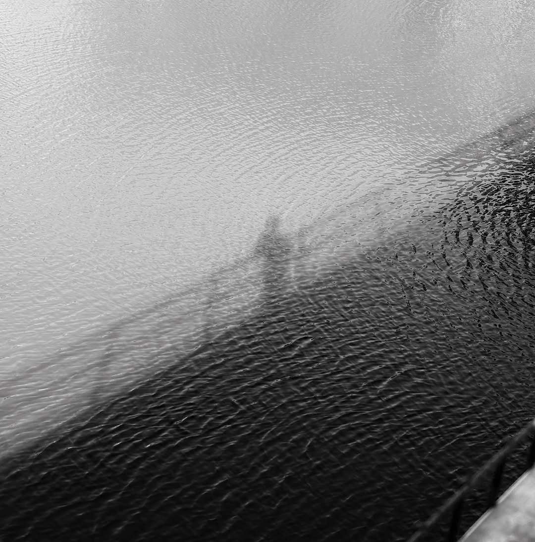 oscar.langburne 게시물 이미지: Reflections