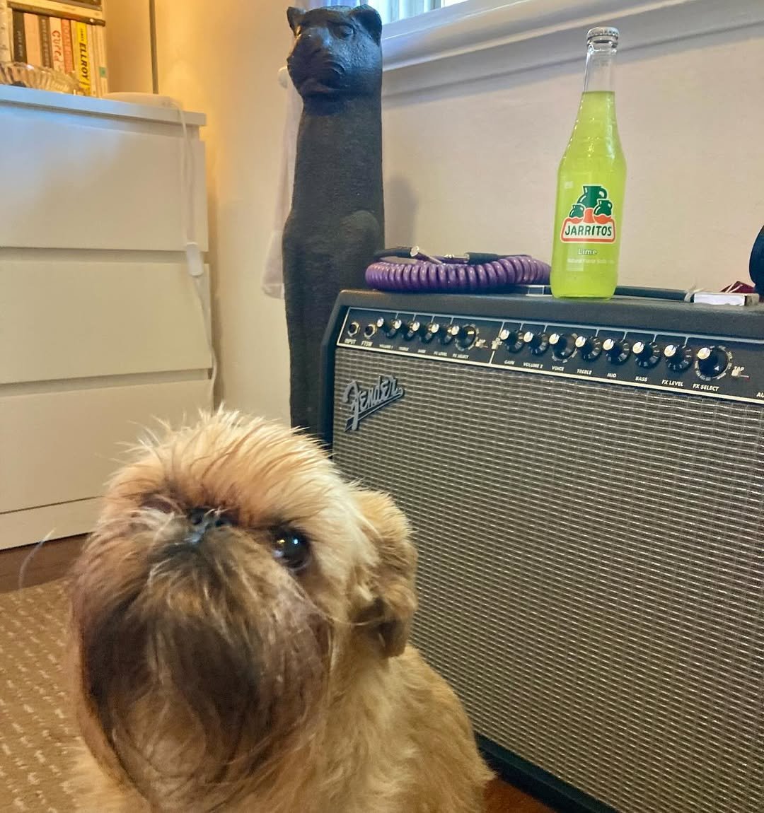 Photo shared by Oscar Langburne on November 28, 2025 tagging @jarritosau. May be an image of text.