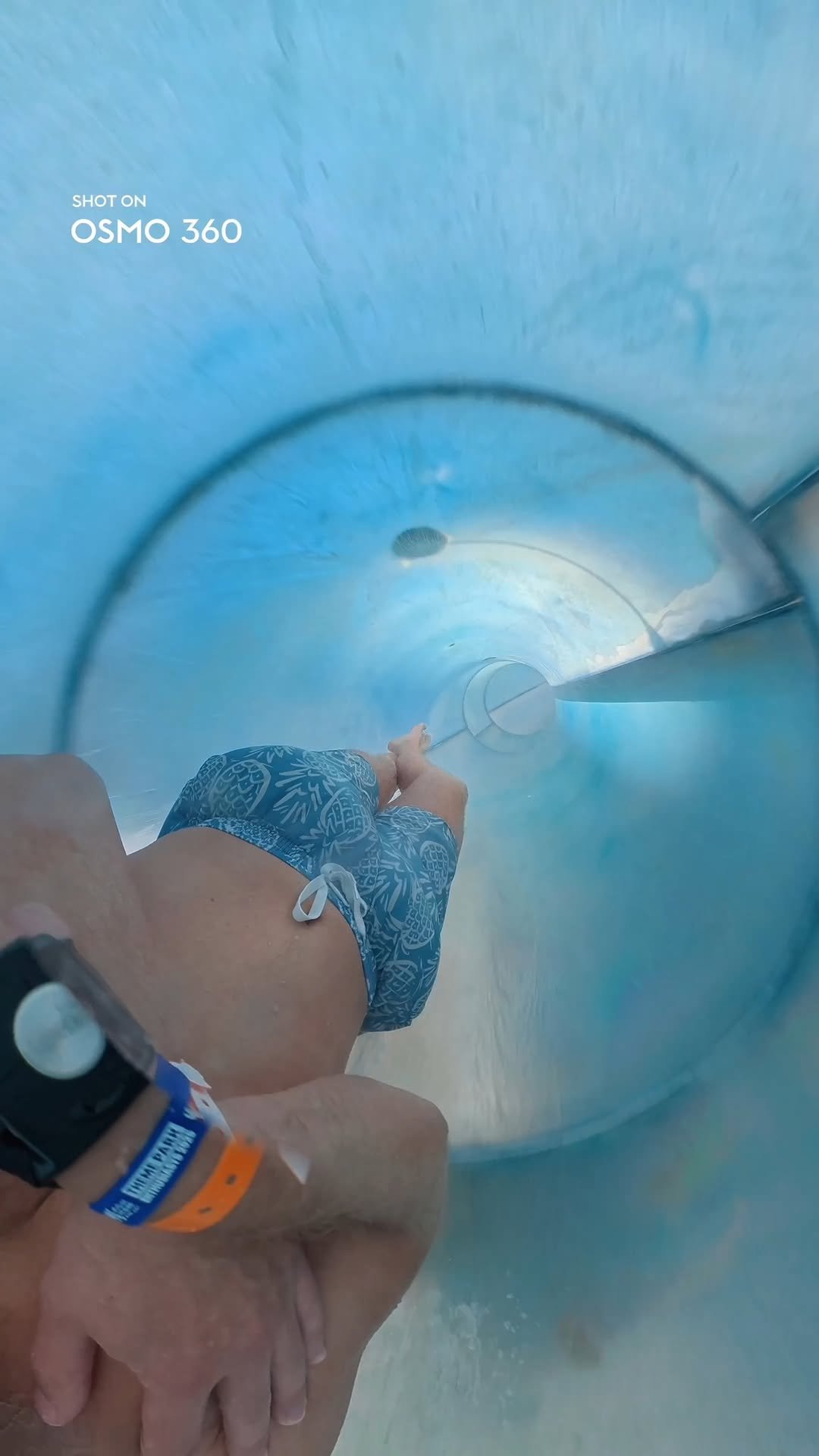 osmo_global 게시물 이미지: Eyes open or eyes shut? 💦

Osmo 360 on the...