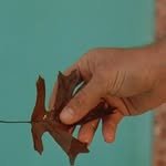 jeffoftheyear 프로필 사진