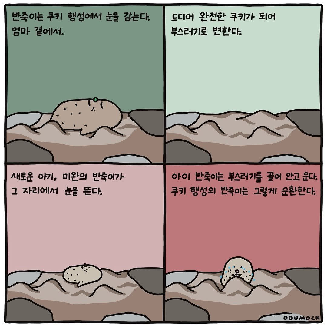 Photo shared by 오두목 툰 on February 21, 2026 tagging @otoonmock, and @odumock. May be an illustration of ‎pie and ‎text that says '‎반죽이는 쿠키 행성에서 눈을 감는다. 엄마 곁에서. 드디어 완전한 쿠키가 되어 부스러기로 변한다. 새로운 아기, 미완의 반죽이가 د 자리에서 눈을 뜬다. 아이 반죽이는 부스러기를 끌어 안고 운다. 쿠키 행성의 반족이는 그렇게 순환한다. ODUMOCK‎'‎‎.