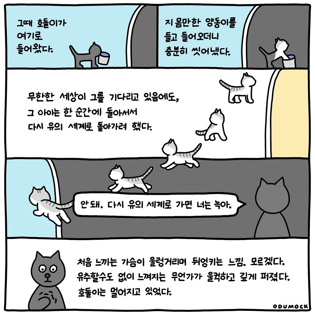 Photo shared by 오두목 툰 on April 05, 2026 tagging @otoonmock, and @odumock. May be an illustration of ‎Norwich terrier and ‎text that says '‎그때 호돌이가 여기로 들어왔다. 지 몸만한 양동이를 들고 들어오더니 충분히 씻어냈다. 무한한 세상이 그를 기다리고 있음에도, ב 아이는 한 순간에 돌아서서 다시 유의 세계로 돌아가려 했다. 안돼. 다시 유의 세계로 가면 너는 녹아. 처음 느끼는 가슴이 울렁거리며 뒤엉키는 느낌. 모르겠다. 유추할수도 없이 느껴지는 무언가가 울컥하고 깊게 퍼졌다. 호돌이는 멀어지고 있었다. ODUMOCK‎'‎‎.