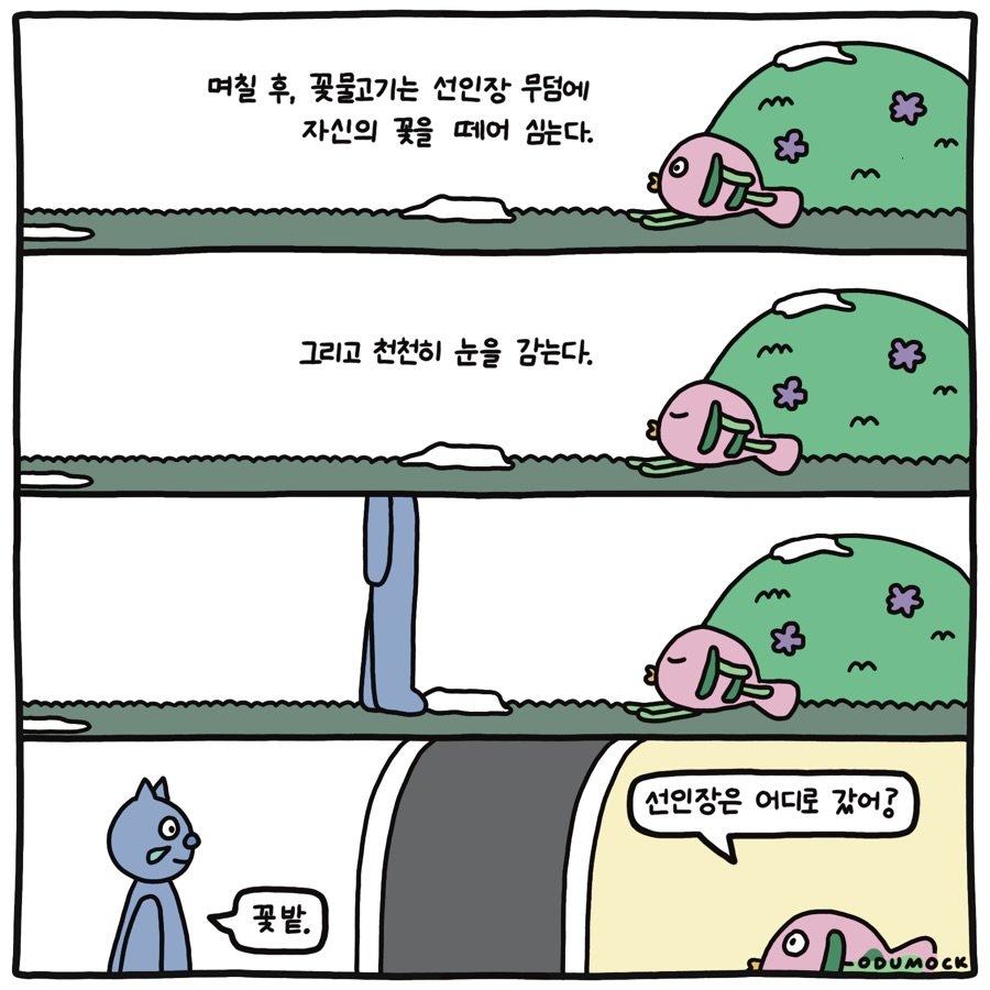 Photo shared by 오두목 툰 on February 13, 2026 tagging @otoonmock, and @odumock. May be an illustration of text that says '며칠 후, 꽃물고기는 선인장 무덤에 자신의 꽃을 떼어 심는다. 그리고 천천히 눈을 감는다. 선인장은 선인장은어디로갔어 어디로 갔어? 꽃밭. . ODUMOCK'.